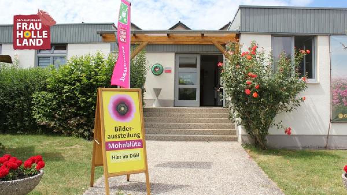Bild zur Veranstaltung: Filmvorführung und Fotoausstellung zur Mohnblüte in Grandenborn