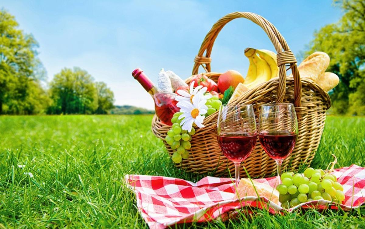 Bild zur Veranstaltung: Wiesenpicknick