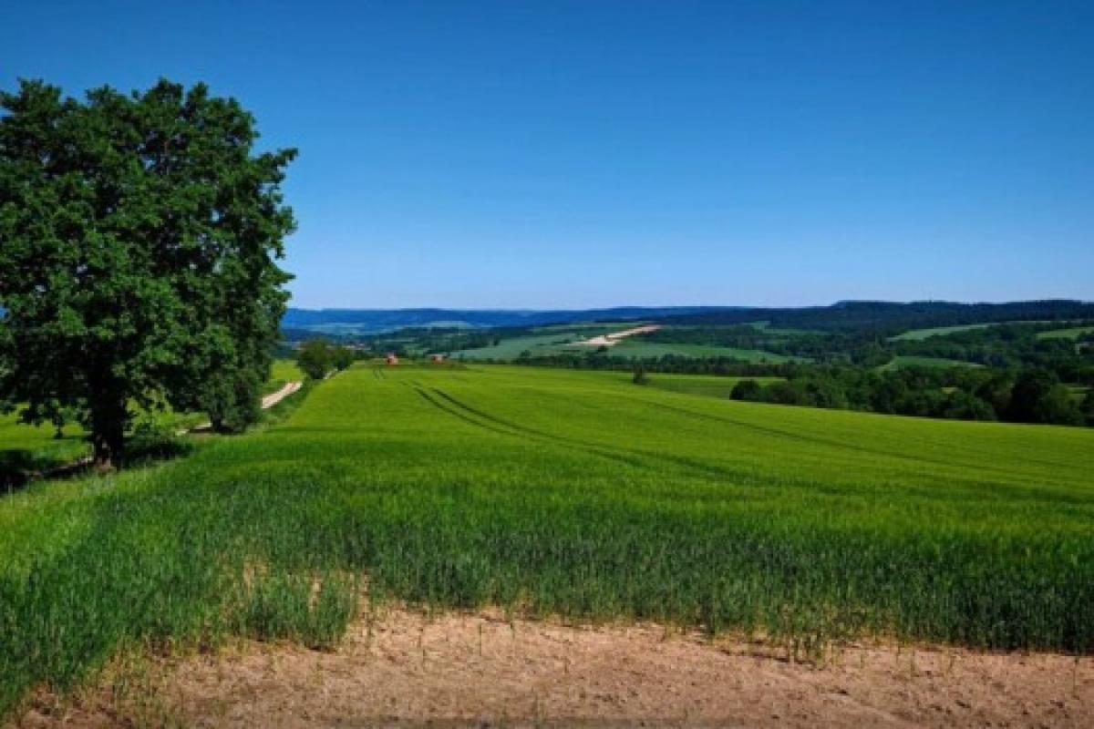 Bild zur Veranstaltung: Radtour Sallmannshäuser Rennsteig